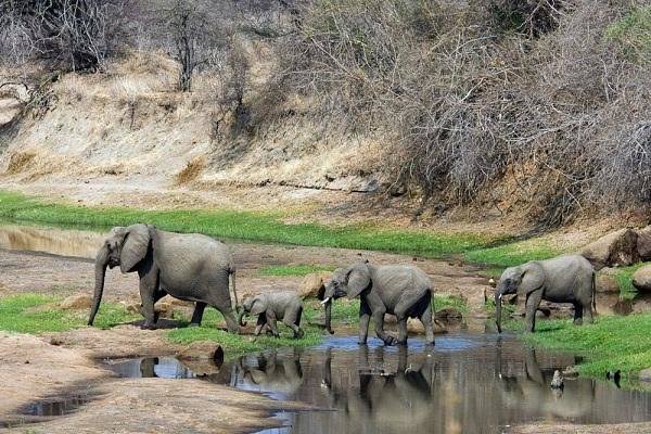 Gashaka Gumti National Park Image