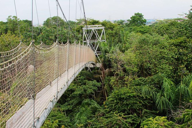 lekki image